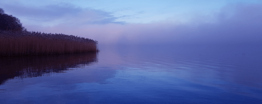 Mariagerfjord morgen